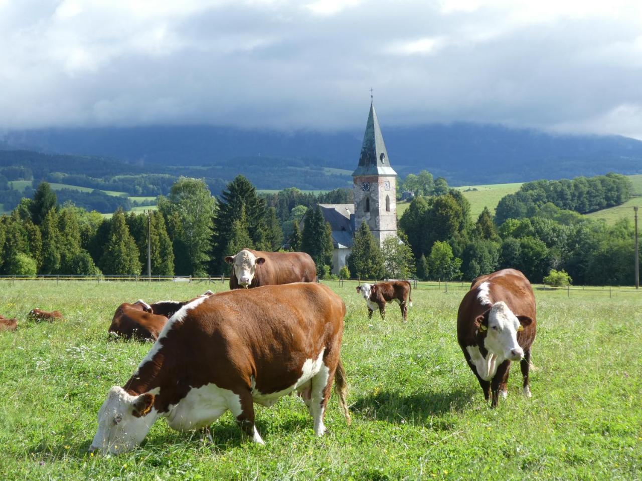 Ubytovani Farma U Sv. Jakuba Dolni Lanov Exterior photo
